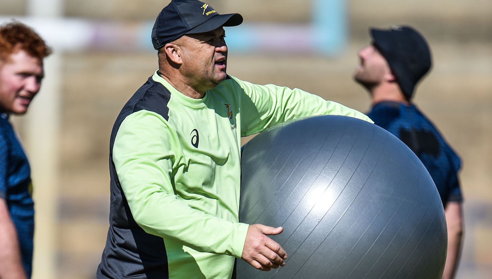 Springbok assistant coach Deon Davids