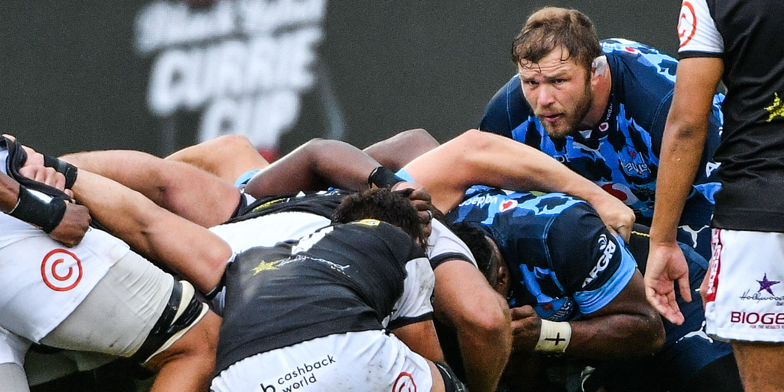 Duane Vermeulen put in a proper captain's innings for the Vodacom Bulls.